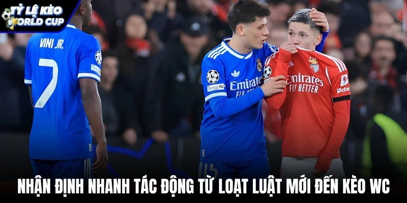 Tác động luật mới và chiến lược đối phó tỷ lệ cược